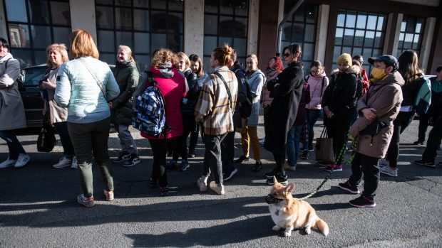 Ukrajinští uprchlíci čekají před dislokovanou pobočkou úřadu práce v Pražské tržnici v Holešovicích.