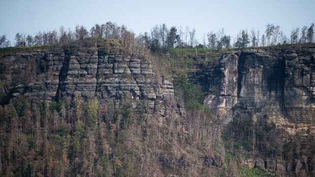 Požár vypukl v sobotu 23. července 2022 nedaleko Hřenska