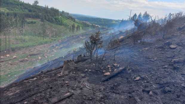 Zásah hasičů při lesním požáru u obce Sloup na Blanensku