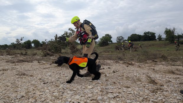 Šestnáct českých hasičů pomáhá s pátráním po pohřešovaných lidech v Texasu. K dispozici mají i své čtyři psy