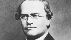 Biolog, matematik a katolický kněz Gregor Johann Mendel