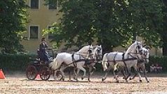 Kladrubské čtyřspřeží