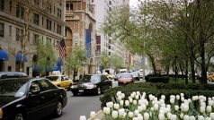 Newyorská Park Avenue poskytuje prostor i zeleni