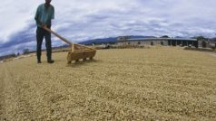 Ekonomika Fair Trade klade důraz na sociální a ekologické souvislosti mezinárodního obchodu