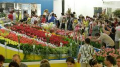 Flora Olomouc