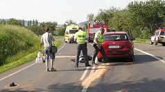 policie u nehody