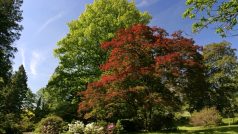 Nový Dvůr - Arboretum