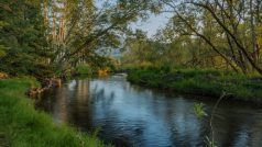 Teplá Vltava u Soumarského mostu