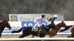 Velká pardubická