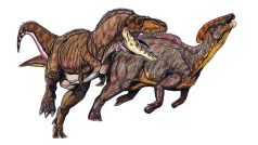 Gorgosaurus útočící na Parasaurolofa