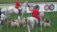 Velká pardubická 2009