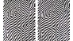 Sean Micka: Bez názvu (Stereoskopický obraz č. 3), 2008, olej na plátně, 101 x 160 cm
