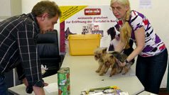 Ve výdejně organizace Tiertafel