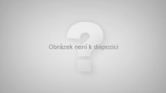 V Dominikánské republice v úterý 29. prosince zemřela Katherine Terrellová Švejnarová (na archivním snímku z 8. února 2008).