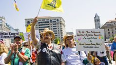Demonstrace ve Washingtonu