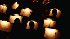 Orchestr