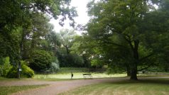 Park (ilustr. obr.)