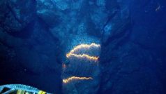 Erupce hlubokomořských vulkánů spočívají spíše ve výlevech proudů lávy než prudkých explozích