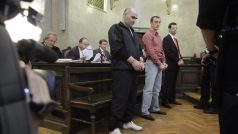 Vídeňský soud odsoudil k dlouhým trestům vrahy čečenského uprchlíka