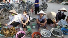 Vietnam.