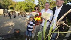 Herečka Jiřina Bohdalová, pražský primátor Bohuslav Svoboda a ředitel pražské zoologické zahrady Miroslav Bobek při křtu hříběte koně Převalského