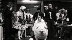 PRASE aneb Václav Havel&#039;s Hunt for a Pig