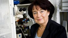 Prof. MUDr. Eva Syková, DrSc.,FCMR