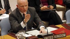 Britský ministra zahraničí William Hague hovoří na Radě bezpečnosti OSN
