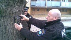 Strážník umísťuje v Břeclavi fotopast