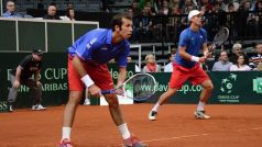 Tenisté Radek Štěpánek a Tomáš Berdych