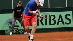 Tomáš Berdych oslavuje dobrý míček