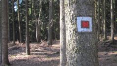 Po této značce se dostanete z Jindrovy naučné stezky k rozvalinám Vítkova hrádku