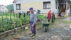 Úklid v Kocourově, manželé Chladovi