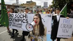 Na odvrácenou stranu zimní olympiády v Soči upozorňovali aktivisté i během londýnských her