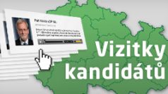 Vizitky - volby 2012