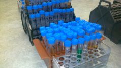 Zkoumání zabaveného alkoholu v policejní laboratoři ve Frýdku-Místku