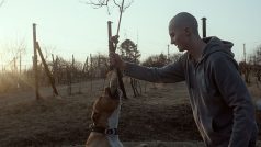 Z filmu Můj pes Killer