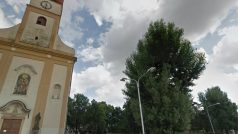 Spitznerovy sady v centru Prostějova čeká revitalizace