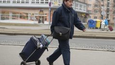 Pošťák, poštovní doručovatel (ilustrační foto)