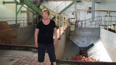 Kafilérka v Tišicích