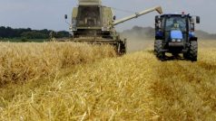 Sklizní ozimého ječmene začaly žně na jižní Moravě. Na snímku kombajny zemědělského družstva Bulhary