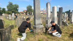 Dobrovolníci z celého světa zvelebují v Holešově před Festivalem židovské kultury židovský hřbitov