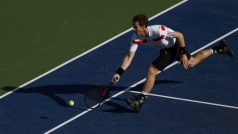 Andy Murray během zápasu s Wawrinkou