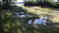 Studenti se rozhodli obnovit zmizelé studánky a vrátit tak vodě život