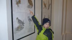 Vlastivědné muzeum v České Lípě se opět otevřelo veřejnosti