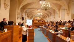 Bývalá předsedkyně rady Ústavu pro studium totalitních režimů (ÚSTR) Naděžda Kavalírová při slyšení v Senátu