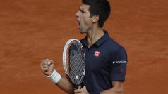 Novak Djoković může vítězstvím ve finále French Open zkompletovat sbírku grandslamových titulů.