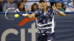 Tomáše Berdycha čeká v 1. kole US Open Lleyton Hewitt