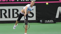 Fed Cup 2014, tenis, Karolína Plíšková