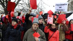 Brno. Protestu proti Miloši Zemanovi se účastnilo asi 150 lidí